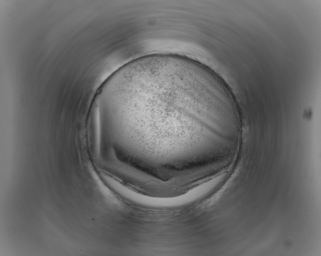 X0000091981521200709271417