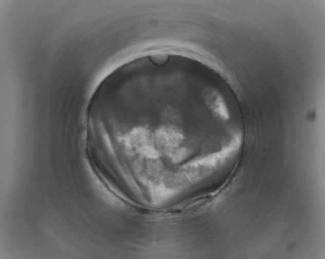 X0000091981522200709271417