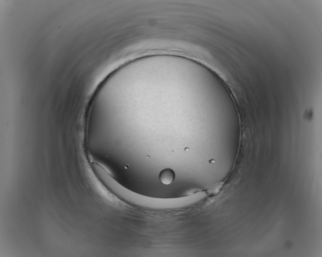 X0000091981523200709271417