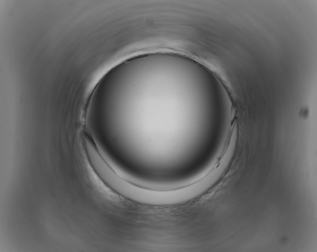 X0000091981524200709271417