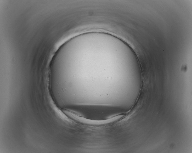 X0000091981526200709271417