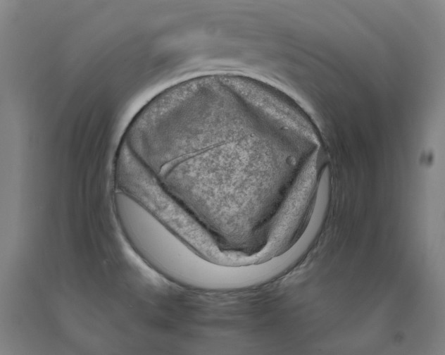 X0000091981527200709271417