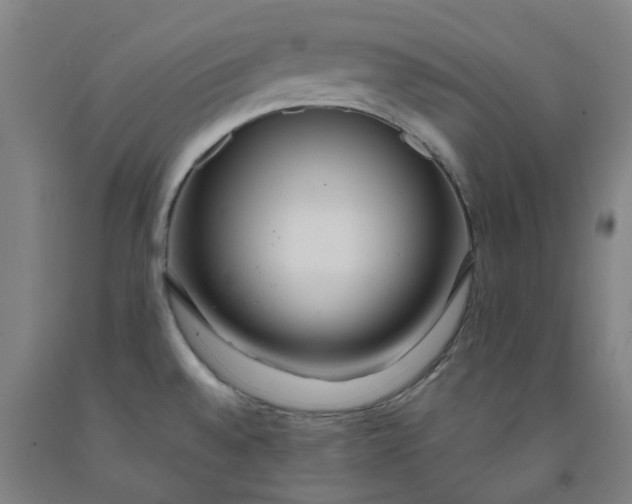 X0000091981528200709271417