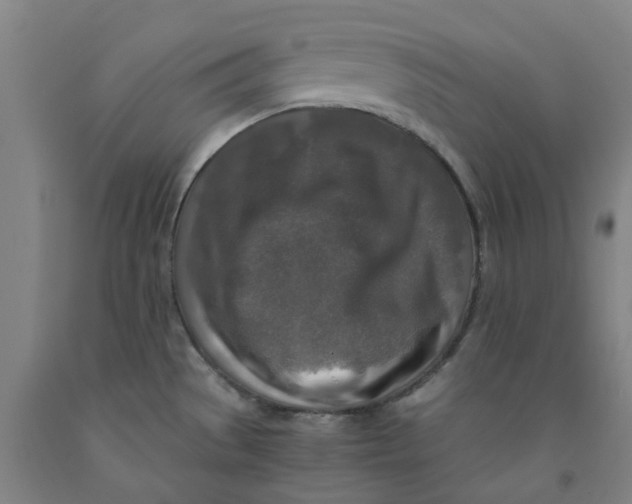 X0000091981529200709271417