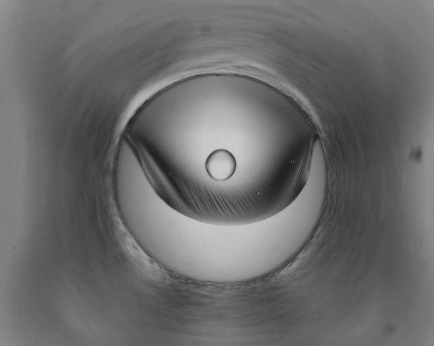 X0000091981530200709271417