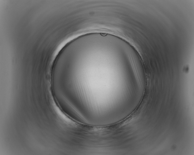 X0000091981531200709271417