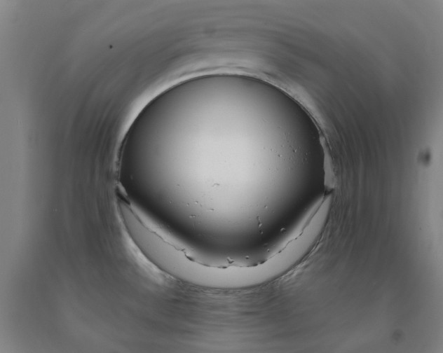 X0000091981532200709271417