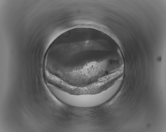 X0000091981533200709271417