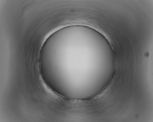 X0000091981534200709271417