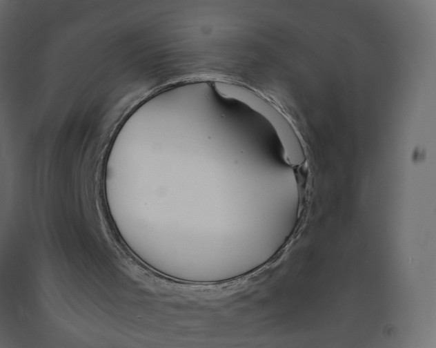 X0000091980001200710041119