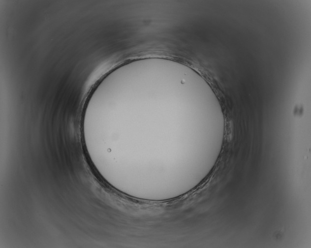 X0000091980004200710041119