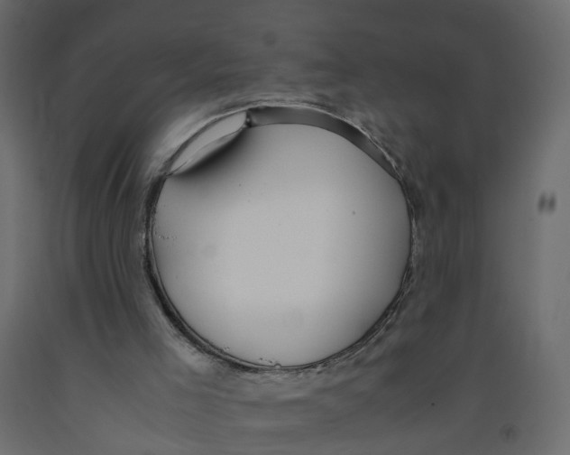X0000091980005200710041119
