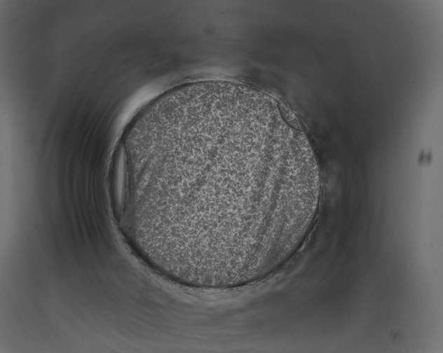 X0000091980006200710041119
