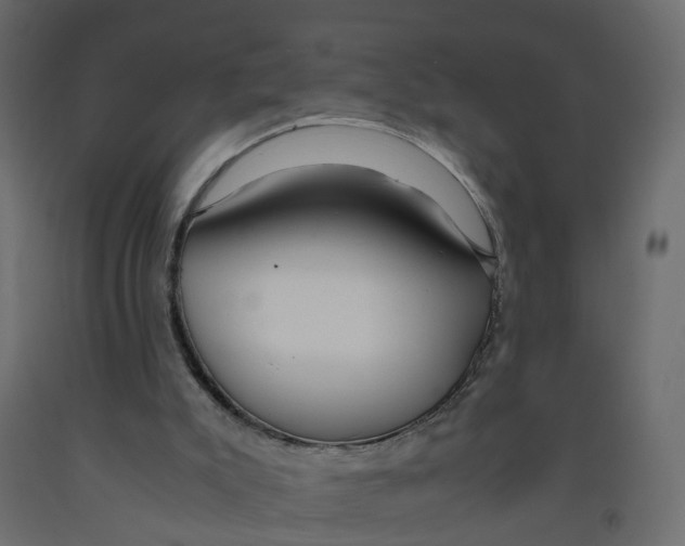 X0000091980007200710041119
