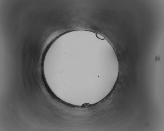 X0000091980008200710041119