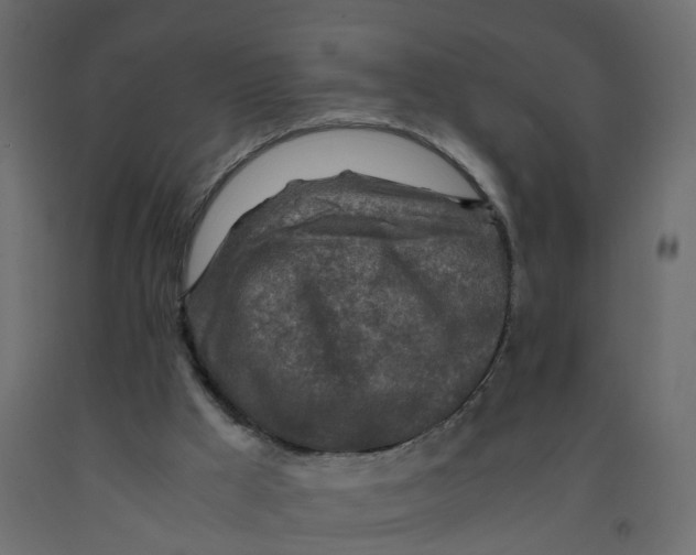 X0000091980009200710041119