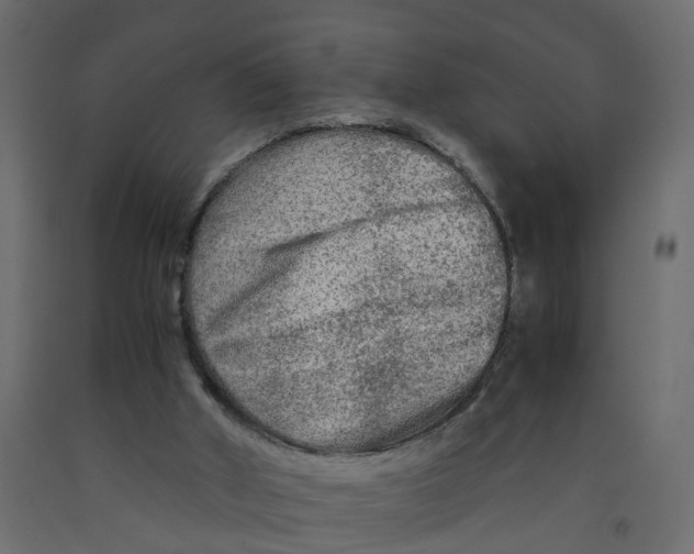 X0000091980010200710041119