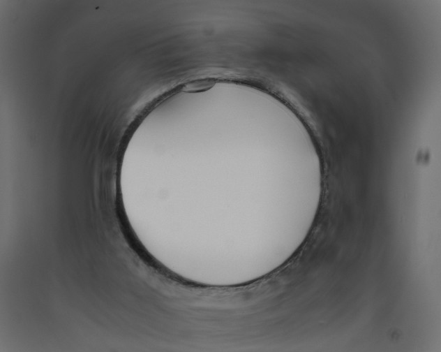 X0000091980011200710041119