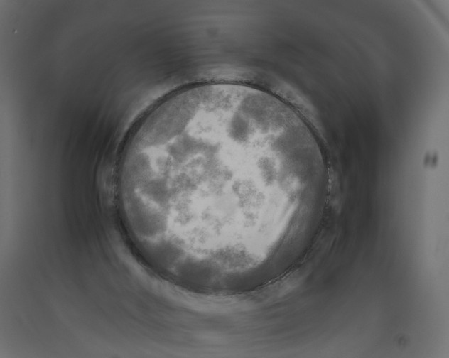 X0000091980012200710041119