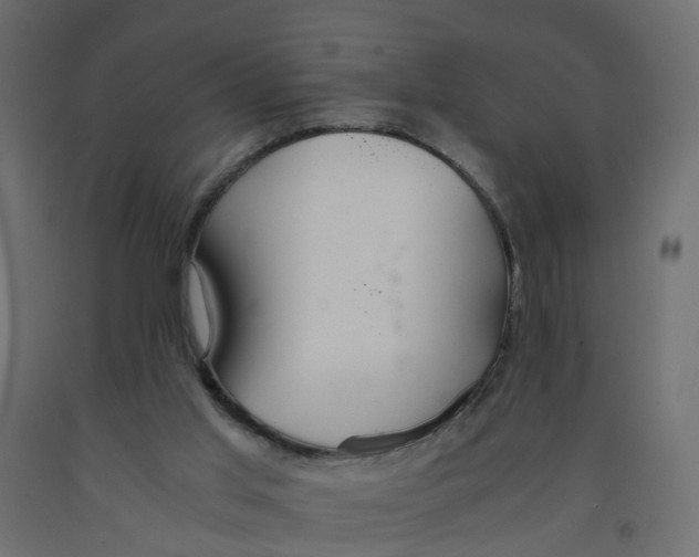 X0000091980013200710041119