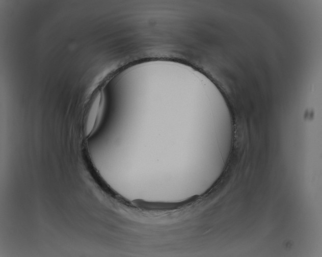 X0000091980015200710041119