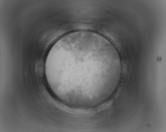 X0000091980016200710041119