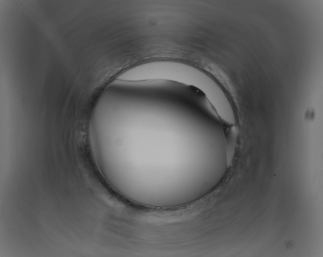 X0000091980017200710041119