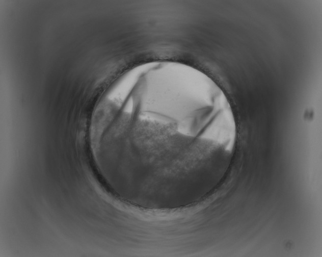 X0000091980018200710041119