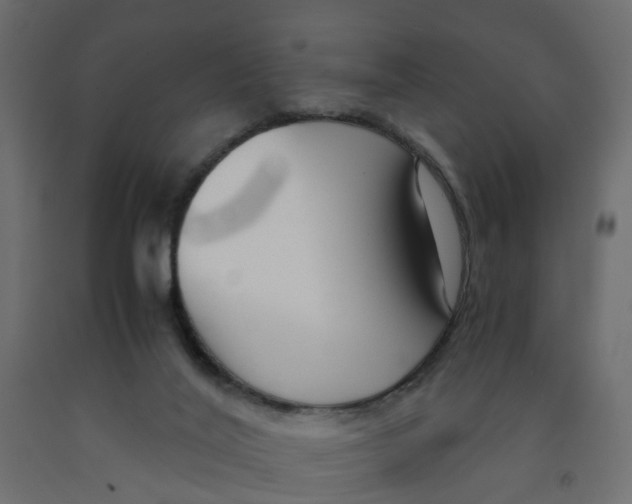 X0000091980020200710041119