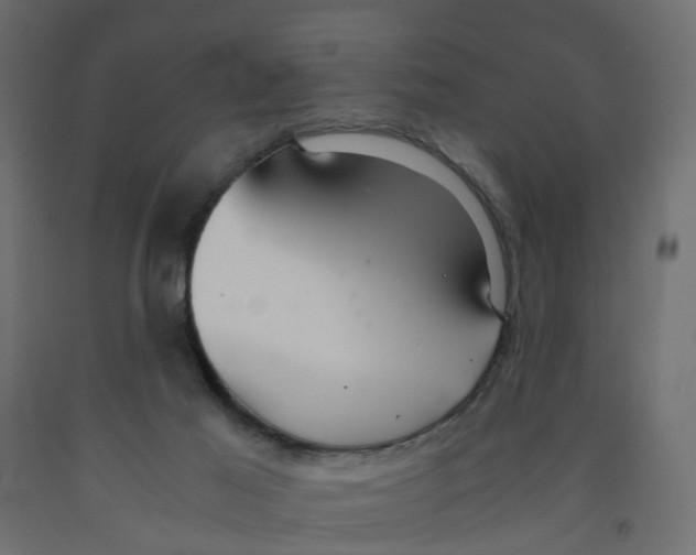 X0000091980021200710041119