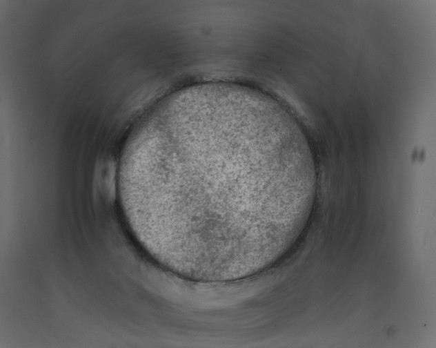 X0000091980022200710041119