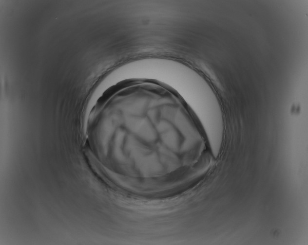 X0000091980023200710041119