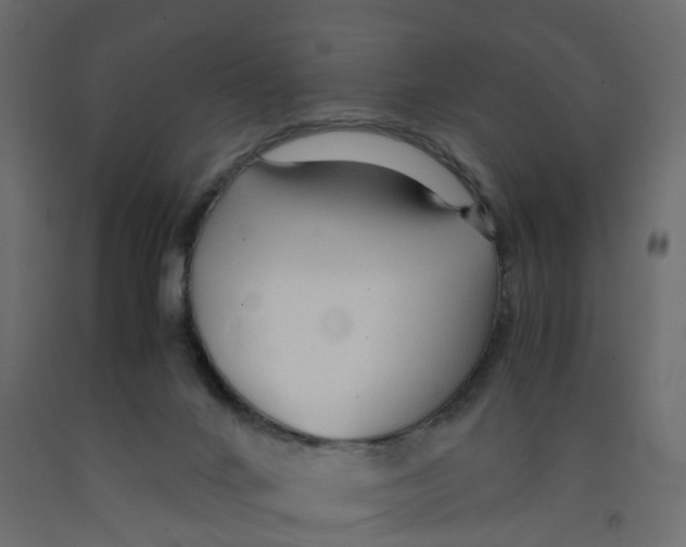 X0000091980024200710041119