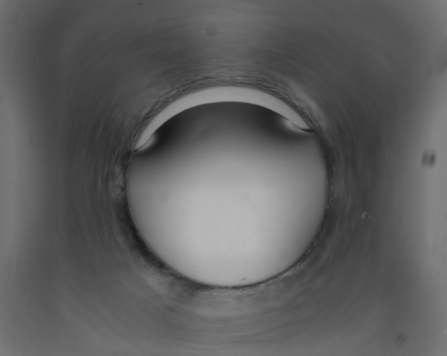 X0000091980025200710041119