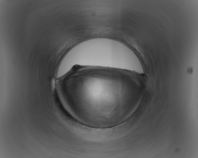 X0000091980027200710041119