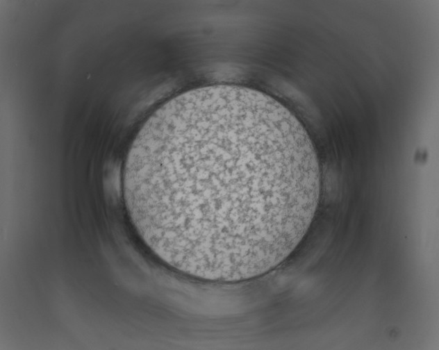 X0000091980028200710041119