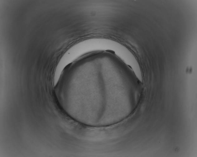 X0000091980029200710041119