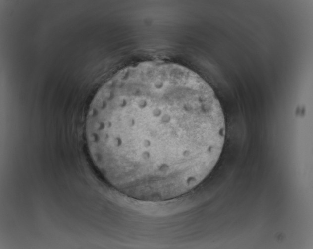 X0000091980030200710041119