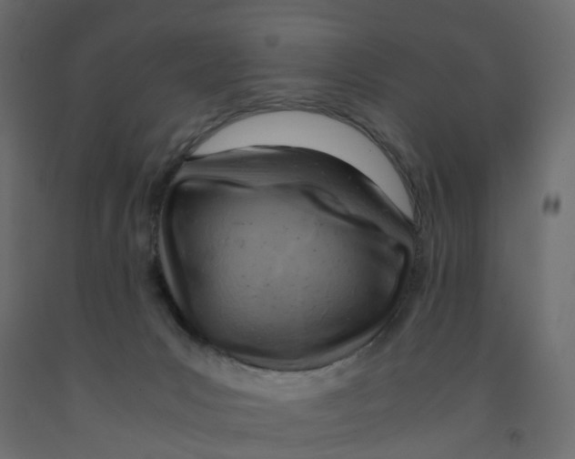 X0000091980031200710041119