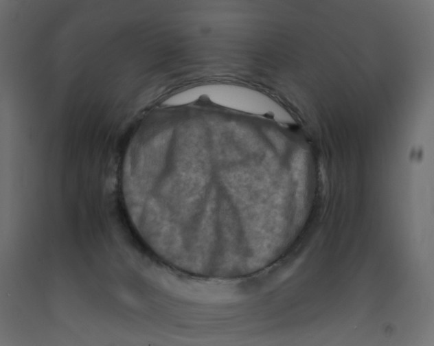 X0000091980032200710041119