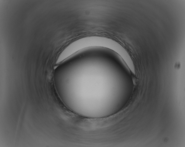 X0000091980033200710041119