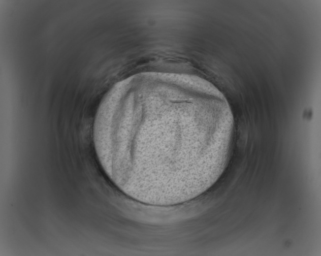 X0000091980034200710041119