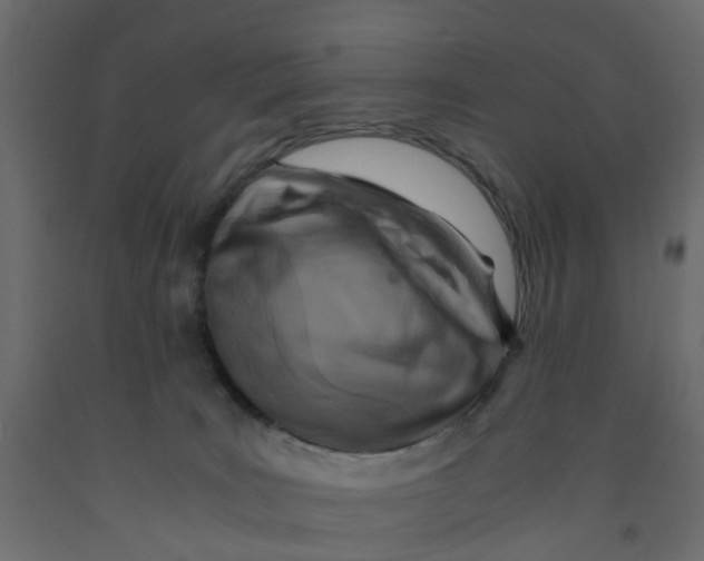 X0000091980035200710041119