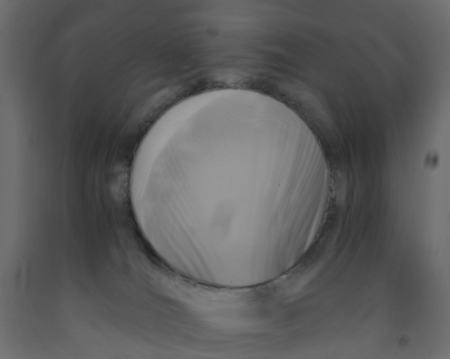 X0000091980036200710041119