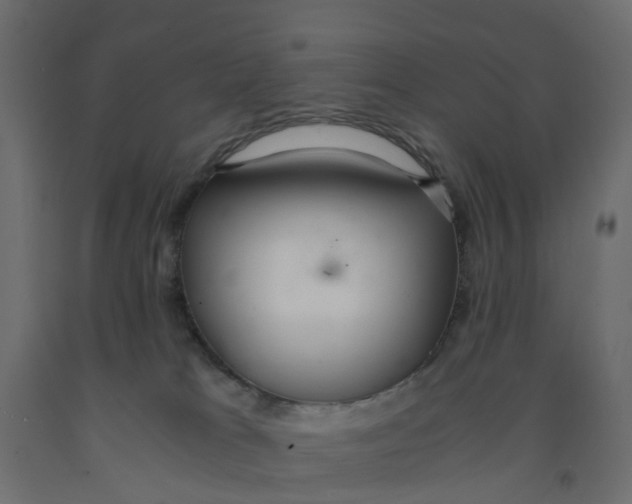 X0000091980037200710041119