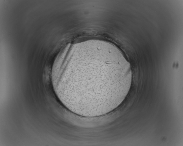X0000091980038200710041119