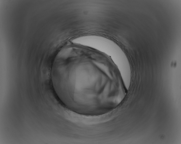X0000091980039200710041119