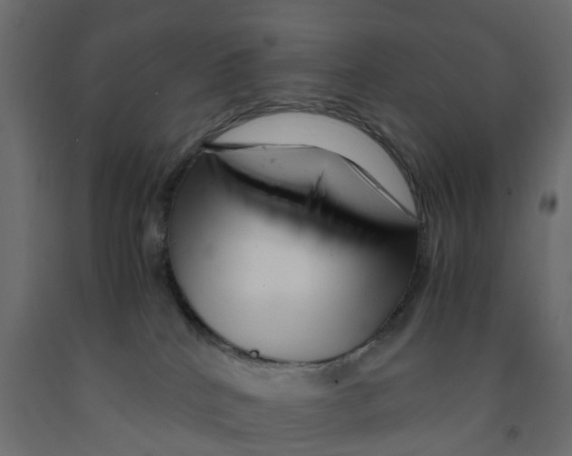 X0000091980040200710041119