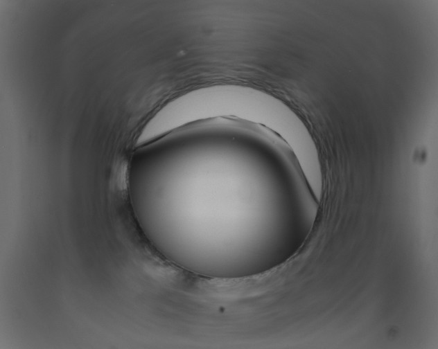X0000091980041200710041119