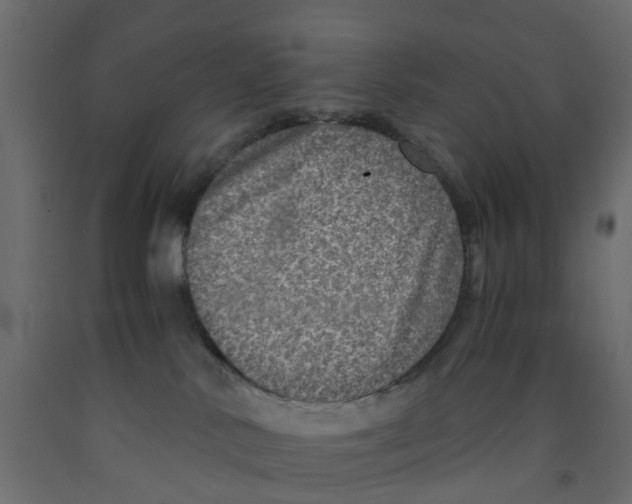 X0000091980042200710041119
